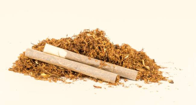 El tabaco de liar es tan perjudicial como el convencional, según un estudio  de la Universitat Internacional de Catalunya - Gaceta Médica