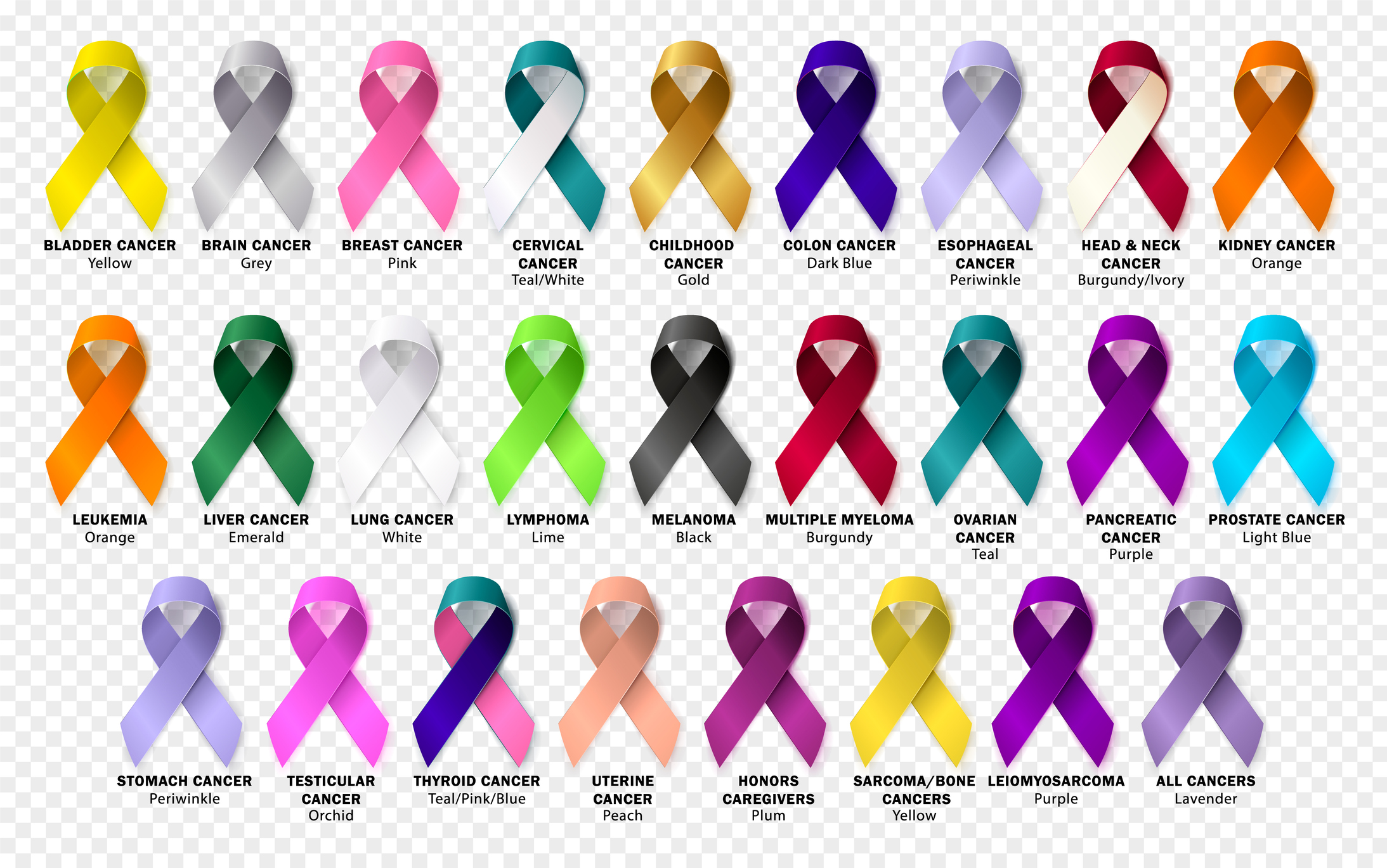 colors of cancer        <h3 class=