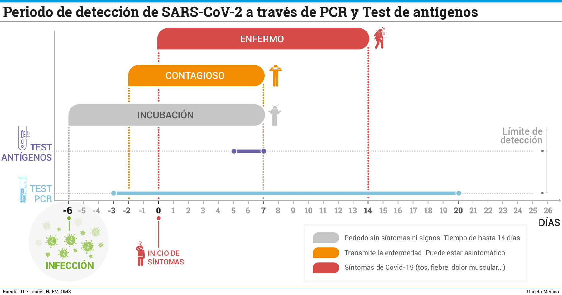 Periodo de detecci%C3%B3n de SARS CoV 2 a trav%C3%A9s de PCR y Test de ant%C3%ADgenos
