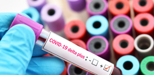 delta, plus, coronavirus, prueba, sangre, tubo, COVID-19