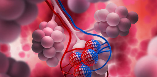 fibrosis quística