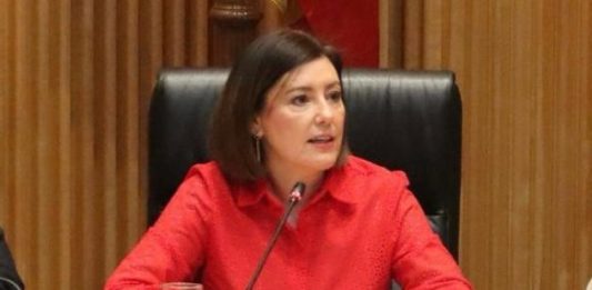 Aprobada la tramitación de Ley ELA propuesta por el PSOE en el Congreso de los Diputados