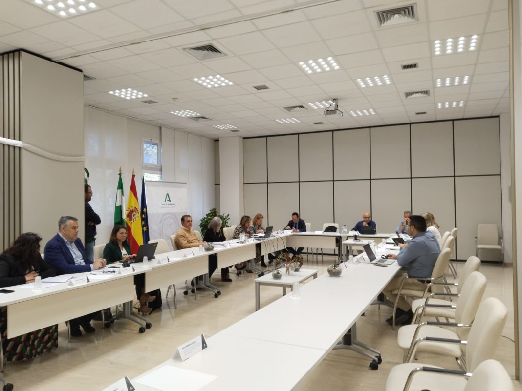 Avance en el Plan Estratégico de Salud Mental en Andalucía