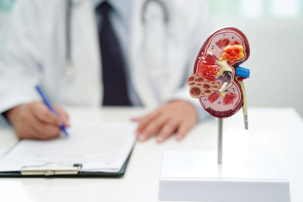 Hospital Clínica de Valencia develops an algorithm for the early detection of chronic kidney disease