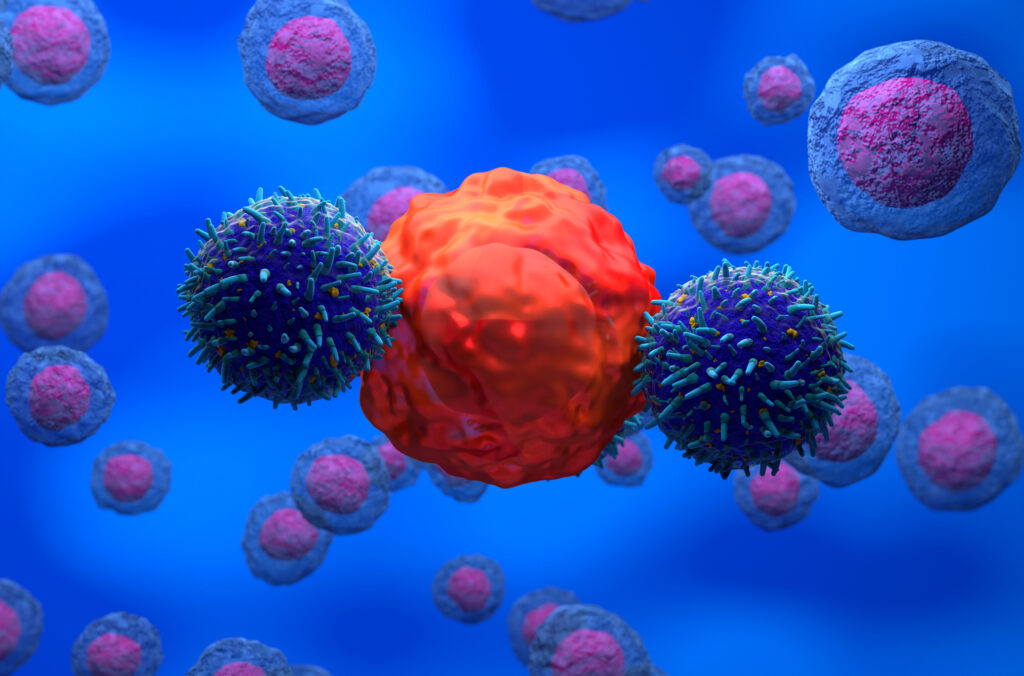 They discover a method for improving the proliferation and activation of T cells in immunotherapy.